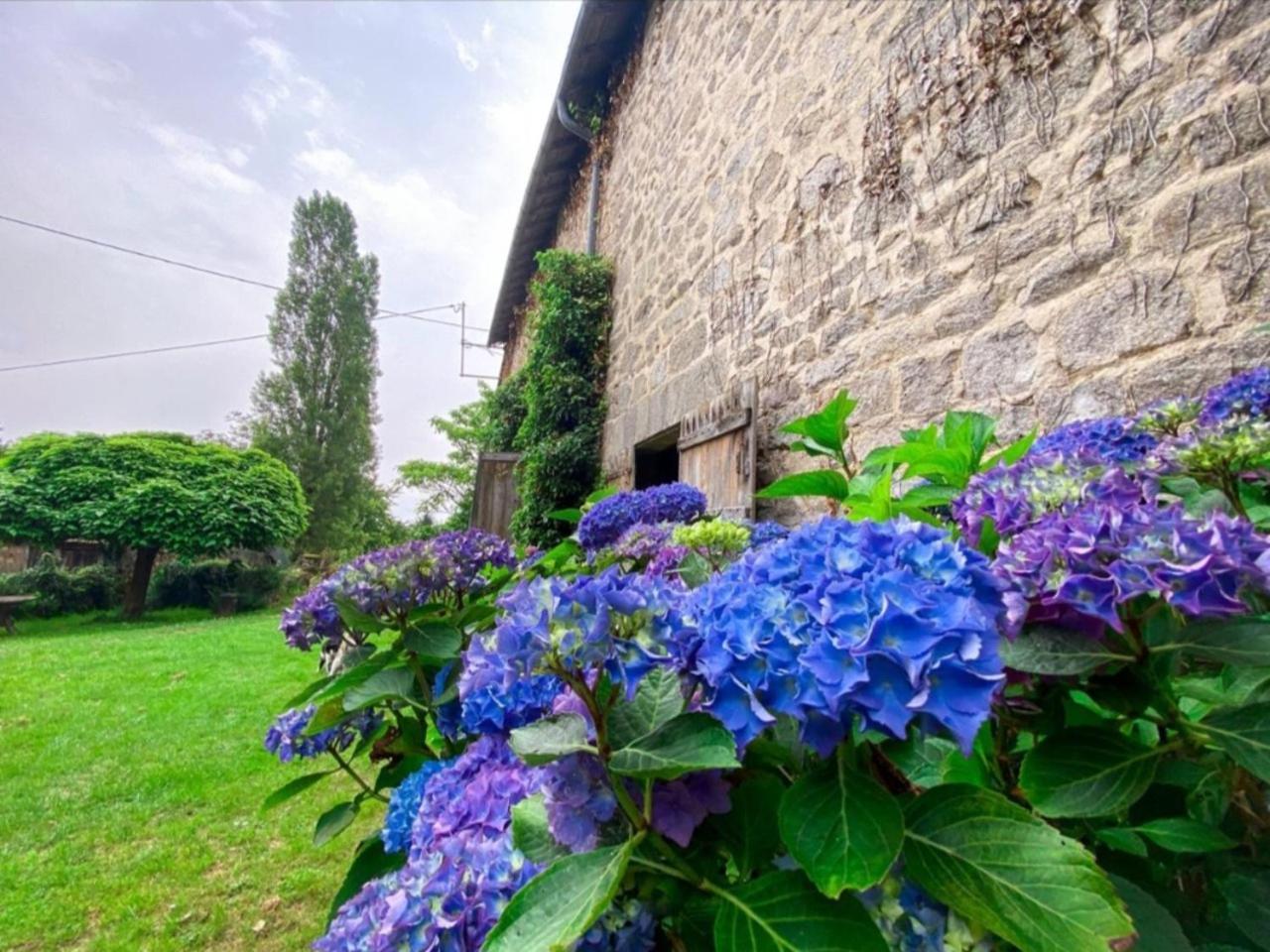 Gite Le Onze Beauval Saint-Dizier-Leyrenne Exteriör bild